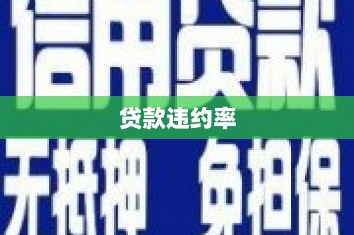 安溪贷款违约率