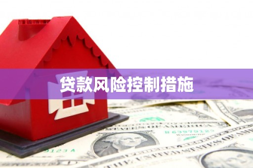 安溪贷款风险控制措施
