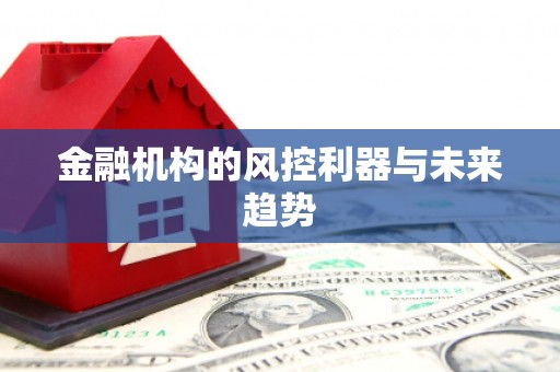 安溪金融机构的风控利器与未来趋势