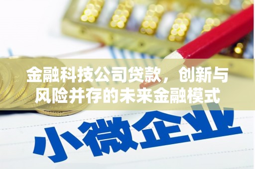 安溪金融科技公司贷款，创新与风险并存的未来金融模式