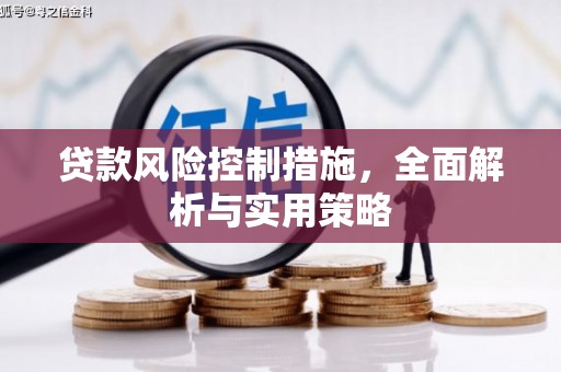 安溪贷款风险控制措施，全面解析与实用策略