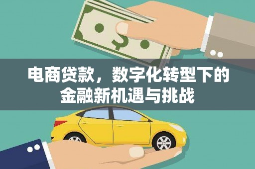 安溪电商贷款，数字化转型下的金融新机遇与挑战