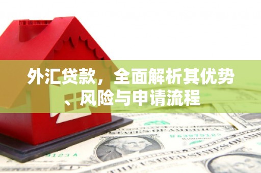 安溪外汇贷款，全面解析其优势、风险与申请流程