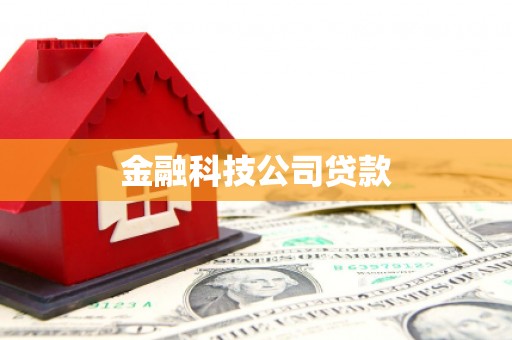 安溪金融科技公司贷款