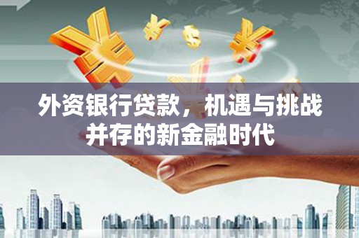 安溪外资银行贷款，机遇与挑战并存的新金融时代