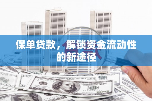 安溪保单贷款，解锁资金流动性的新途径