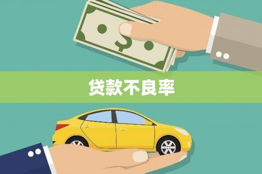 安溪贷款不良率