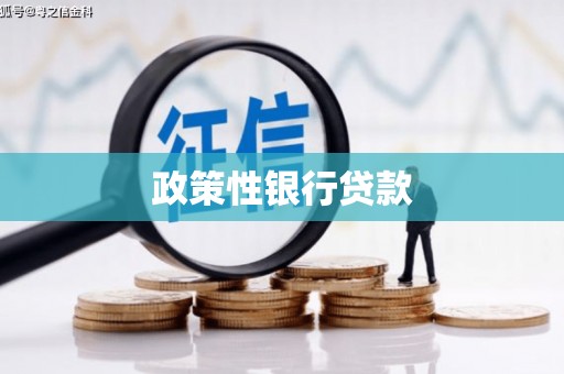 安溪政策性银行贷款