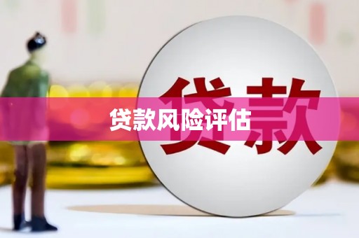 安溪贷款风险评估