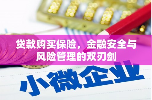 安溪贷款购买保险，金融安全与风险管理的双刃剑
