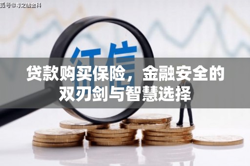 安溪贷款购买保险，金融安全的双刃剑与智慧选择