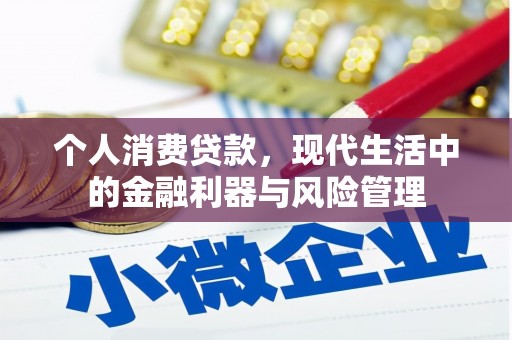 安溪个人消费贷款，现代生活中的金融利器与风险管理