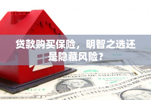 安溪贷款购买保险，明智之选还是隐藏风险？