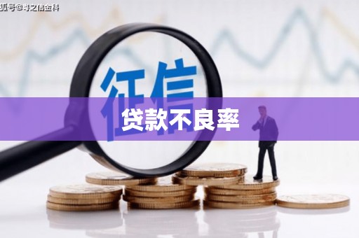 安溪贷款不良率