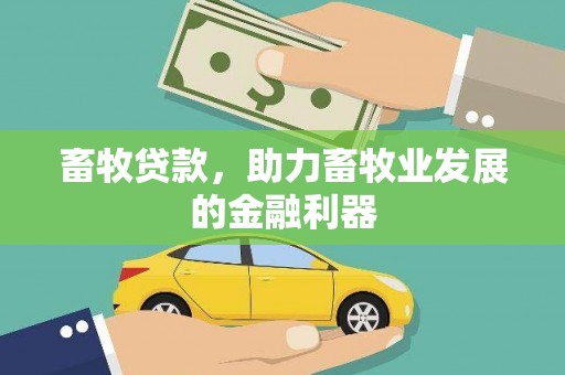 安溪畜牧贷款，助力畜牧业发展的金融利器
