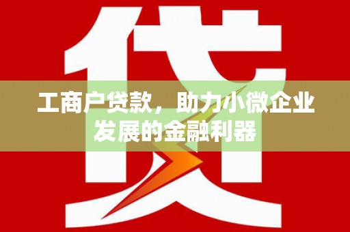 安溪工商户贷款，助力小微企业发展的金融利器