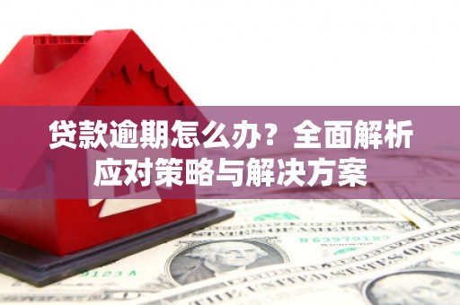 安溪贷款逾期怎么办？全面解析应对策略与解决方案