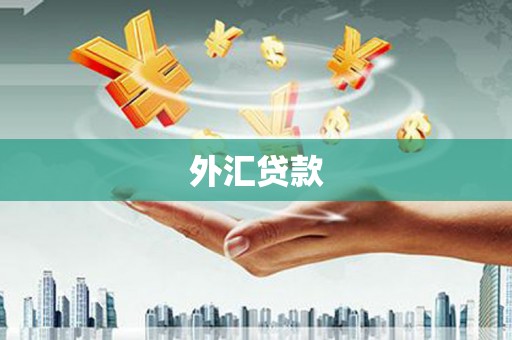 安溪外汇贷款
