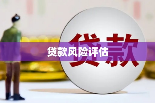 安溪贷款风险评估