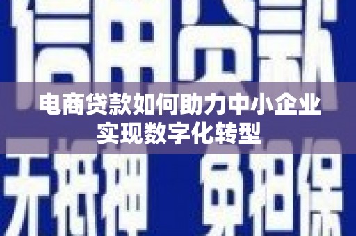 安溪电商贷款如何助力中小企业实现数字化转型