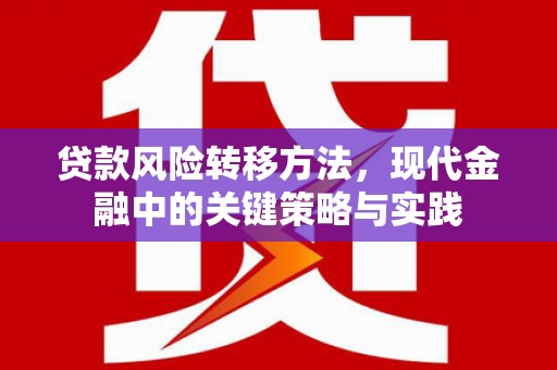 安溪贷款风险转移方法，现代金融中的关键策略与实践