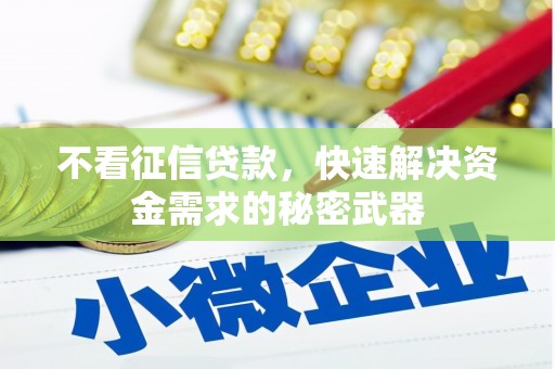 安溪不看征信贷款，快速解决资金需求的秘密武器