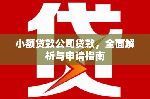 安溪小额贷款公司贷款，全面解析与申请指南