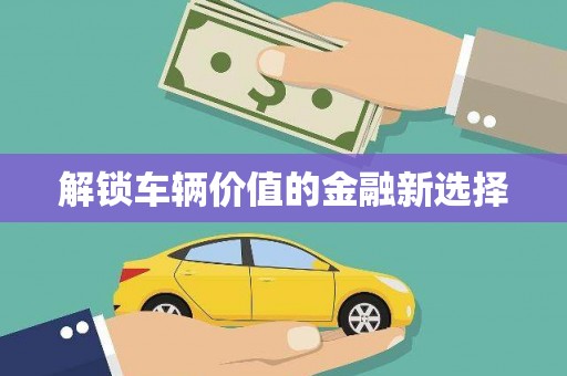 安溪解锁车辆价值的金融新选择