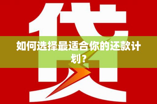 安溪如何选择最适合你的还款计划？