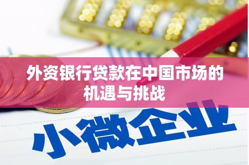 安溪外资银行贷款在中国市场的机遇与挑战