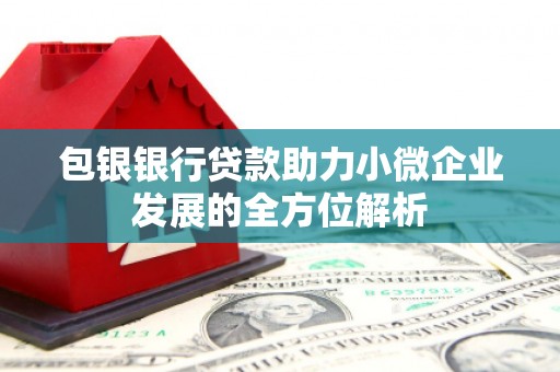 安溪包银银行贷款助力小微企业发展的全方位解析