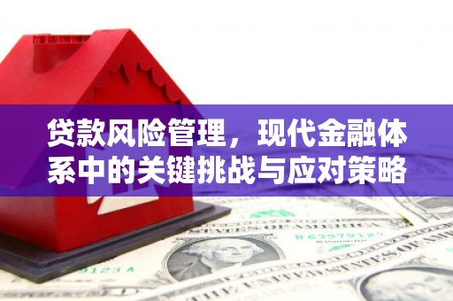 安溪贷款风险管理，现代金融体系中的关键挑战与应对策略