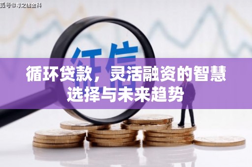 安溪循环贷款，灵活融资的智慧选择与未来趋势