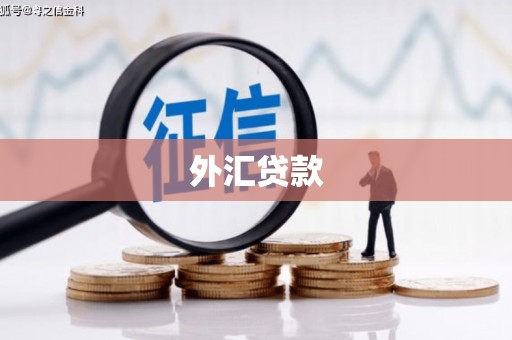 安溪外汇贷款