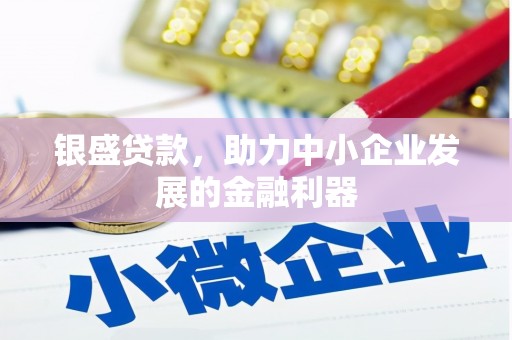 安溪银盛贷款，助力中小企业发展的金融利器