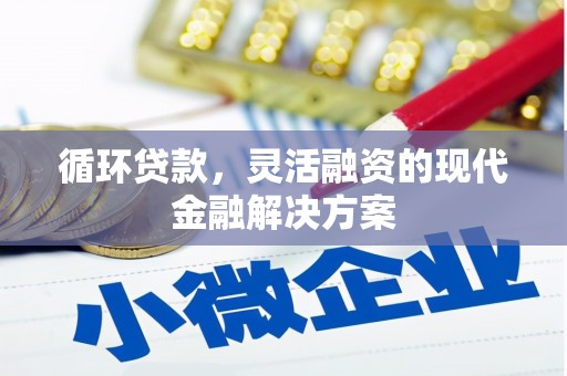 安溪循环贷款，灵活融资的现代金融解决方案