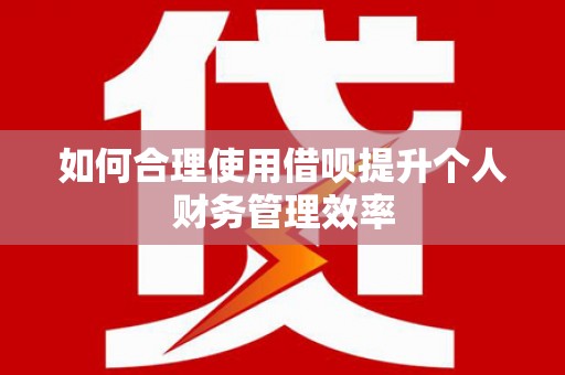 安溪如何合理使用借呗提升个人财务管理效率