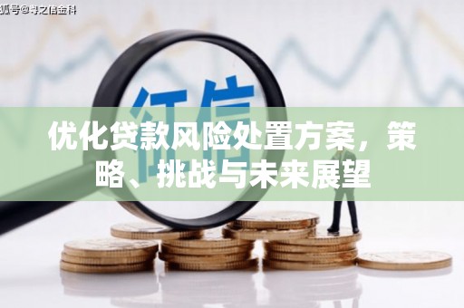 安溪优化贷款风险处置方案，策略、挑战与未来展望