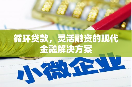 安溪循环贷款，灵活融资的现代金融解决方案