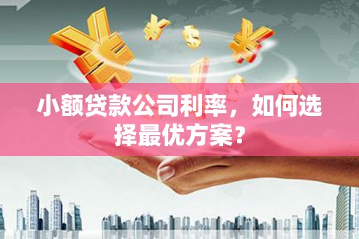 安溪小额贷款公司利率，如何选择最优方案？