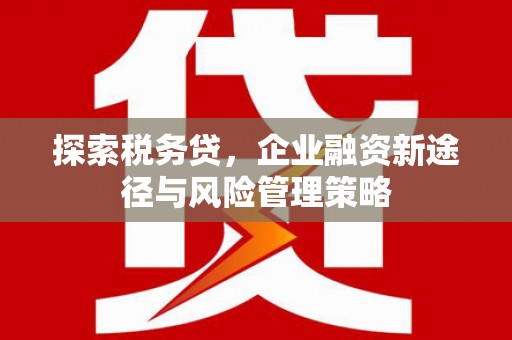 安溪探索税务贷，企业融资新途径与风险管理策略