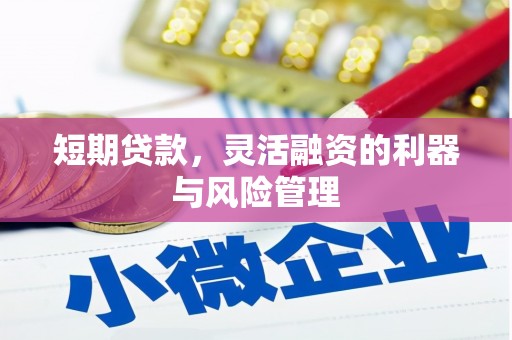 安溪短期贷款，灵活融资的利器与风险管理