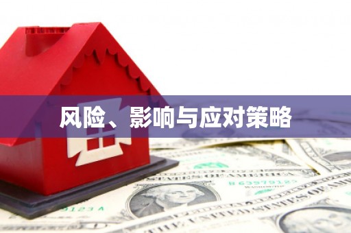 安溪风险、影响与应对策略