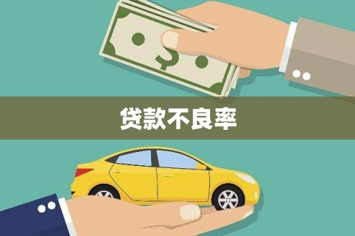 安溪贷款不良率