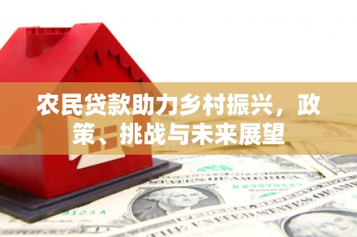 安溪农民贷款助力乡村振兴，政策、挑战与未来展望