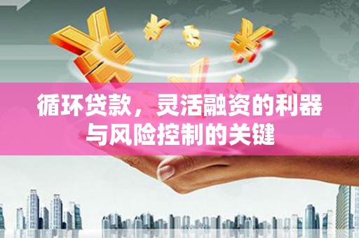 安溪循环贷款，灵活融资的利器与风险控制的关键