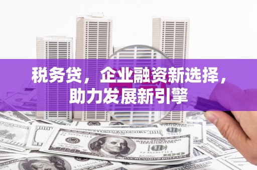 安溪税务贷，企业融资新选择，助力发展新引擎
