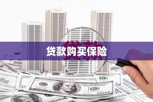 安溪贷款购买保险