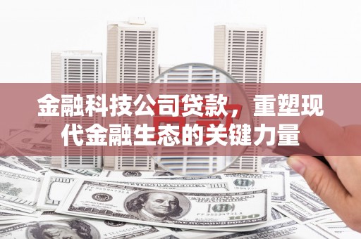 安溪金融科技公司贷款，重塑现代金融生态的关键力量