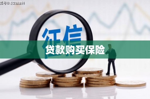 安溪贷款购买保险